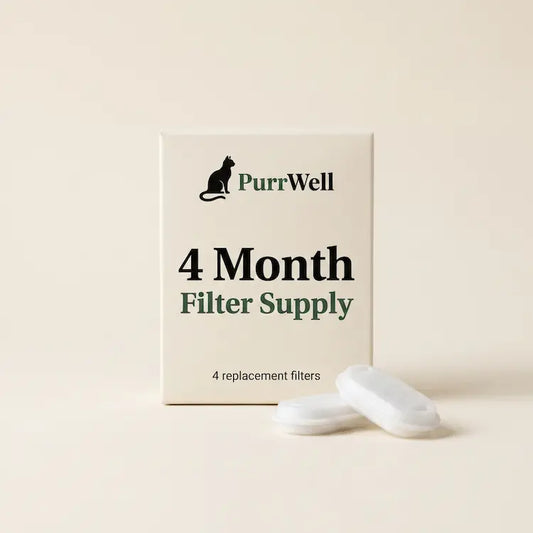 🎁 4 Free Filters (100% off)
