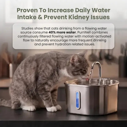 The PurrWell™ - Cat Hydration System
